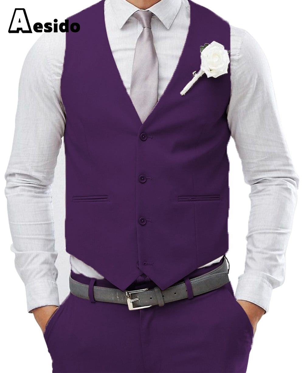 aesido Men's 2 Pieces Single Breasted V Neck Waistcoat（Vest+Pants）